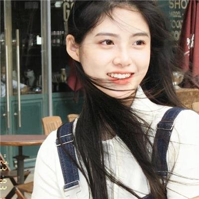 随风追寻